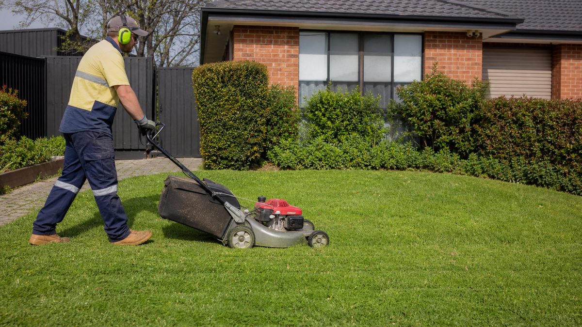How much does it cost to hire someone to mow my lawn in Melbourne in Albury?